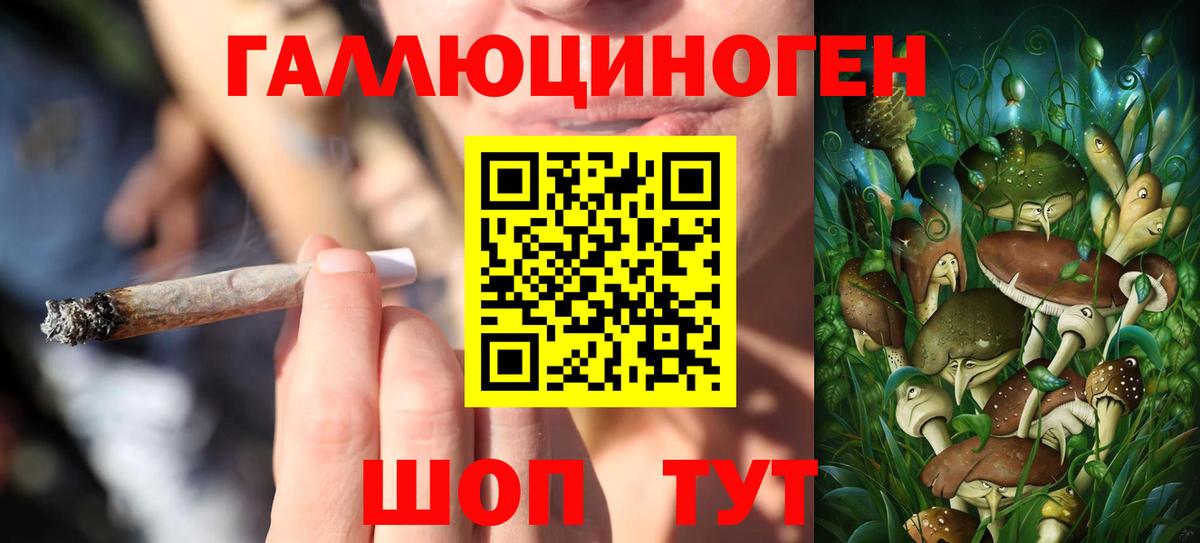 Галлюциногенные грибы мицелий Комсомольск-на-Амуре