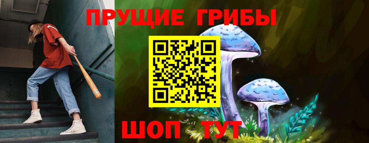Комсомольск-на-Амуре  Галлюциногенные грибы Psilocybine cubensis  Вход с VPN 